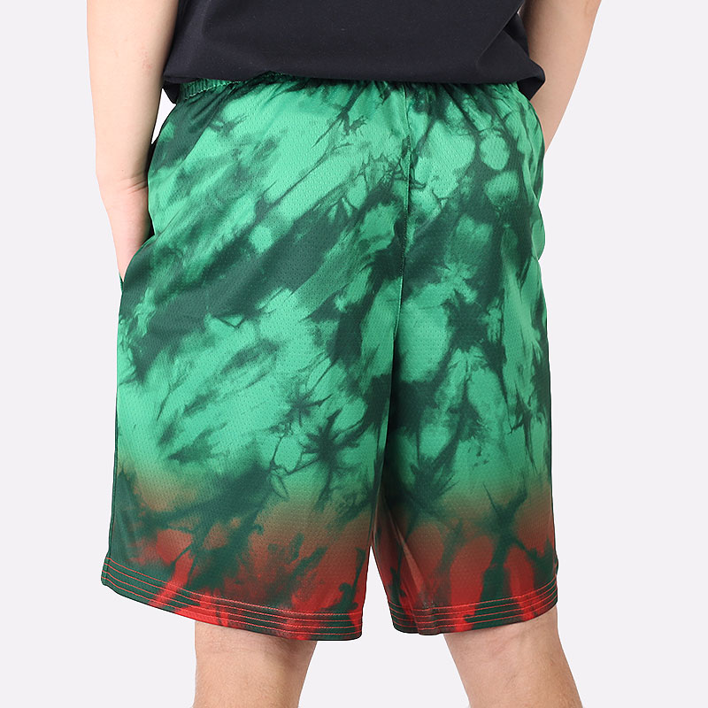 мужские зеленые шорты  Nike Team Lithuania Limited Edition Road Shorts CQ0193-341 - цена, описание, фото 4